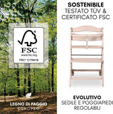 Hauck Seggiolone evolutivo Beta plus 