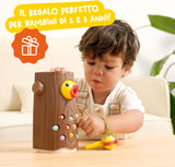 Picchio Magnetico Nene Toys