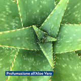 DETERMONDO Salviette Neonato Formula Con Aloe Vera