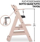 Hauck Seggiolone evolutivo Beta plus 