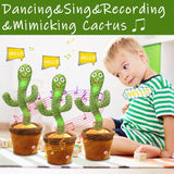 Cactus Ballerino