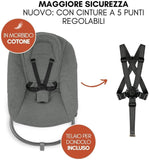 Hauck Seggiolone Evolutivo Alpha Move