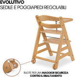 Hauck Seggiolone Evolutivo Alpha Move