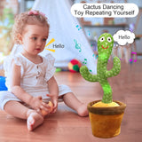 Cactus Ballerino